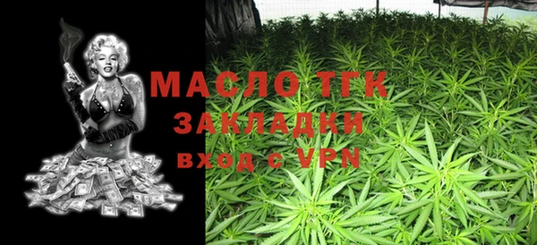 индика Няндома