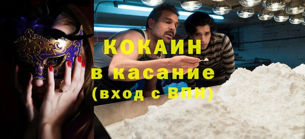 индика Лабытнанги