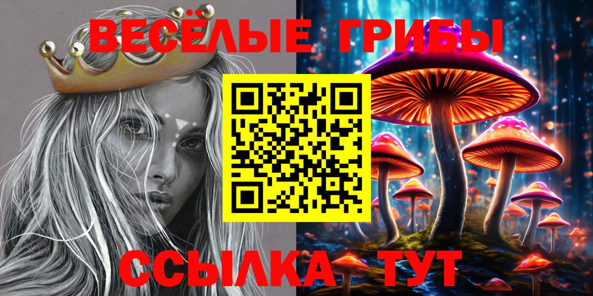 Псилоцибиновые грибы Psilocybine cubensis Новый Уренгой