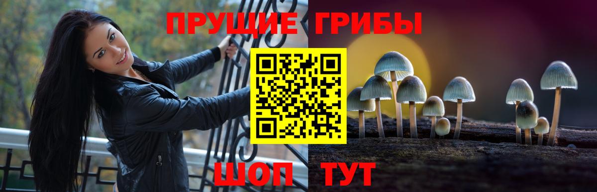 Псилоцибиновые грибы GOLDEN TEACHER  Вход с VPN  сколько стоит  Новый Уренгой 