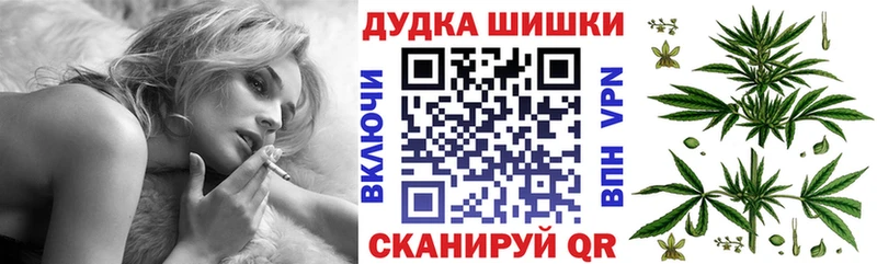 Конопля сатива  Новый Уренгой 